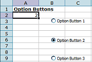 Option Buttons