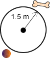 Locus of a dog tethered by a chain of 1.5m