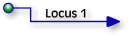 Forward to locus about a point