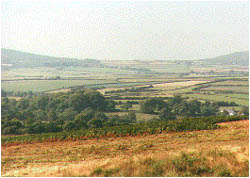 The Gower fields in 1996