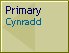 Primary/Cynradd