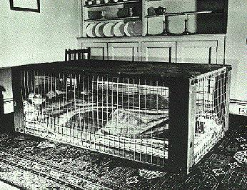 A photograph of a Morrison Shelter