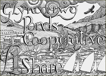 Glyncorrwg Ponds Co-operative Share