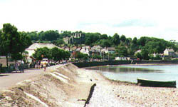 view of Oystermouth on the 15th July 1995